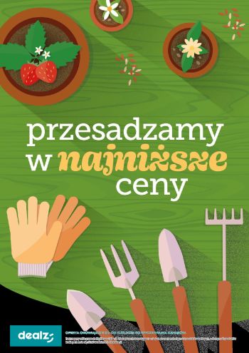 dealzpl offer