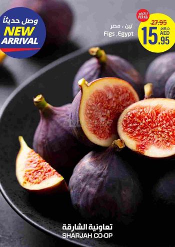Sharjah Coop offer thumb